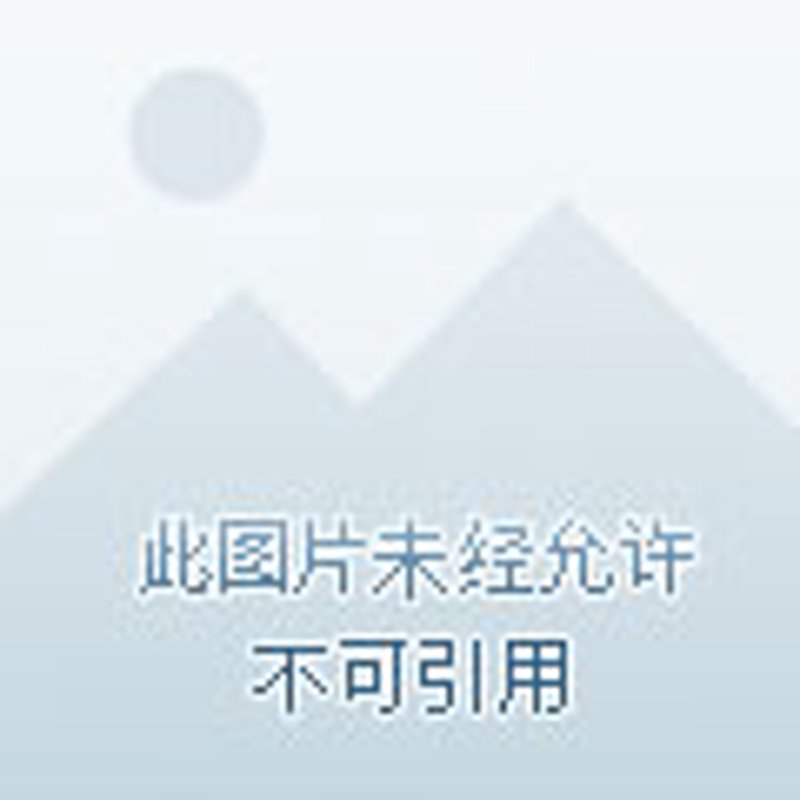 纺织加工行业的未来趋势：基于当前趋势的深度分析