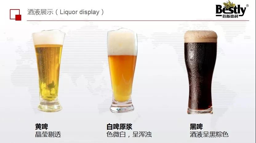 精酿啤酒-山东BSport体育官网