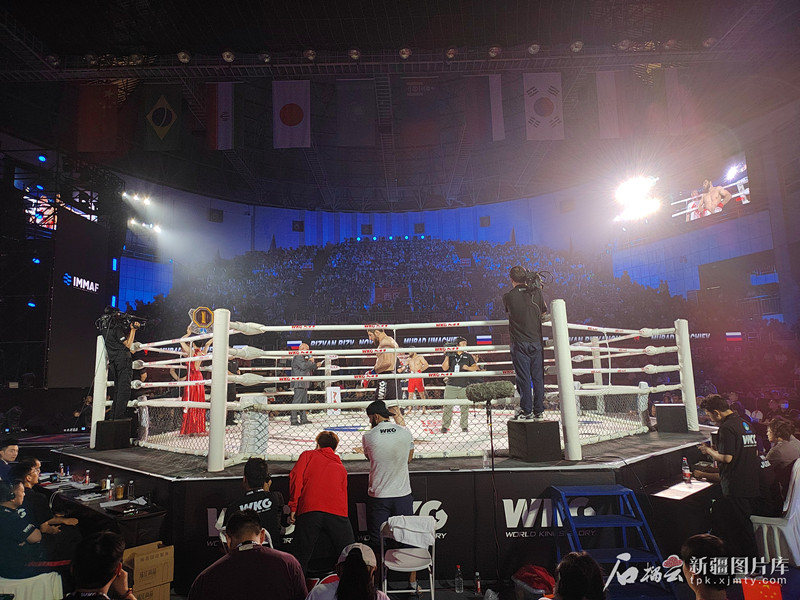 阿克苏国际综合格斗赛上演多国高手巅峰对决